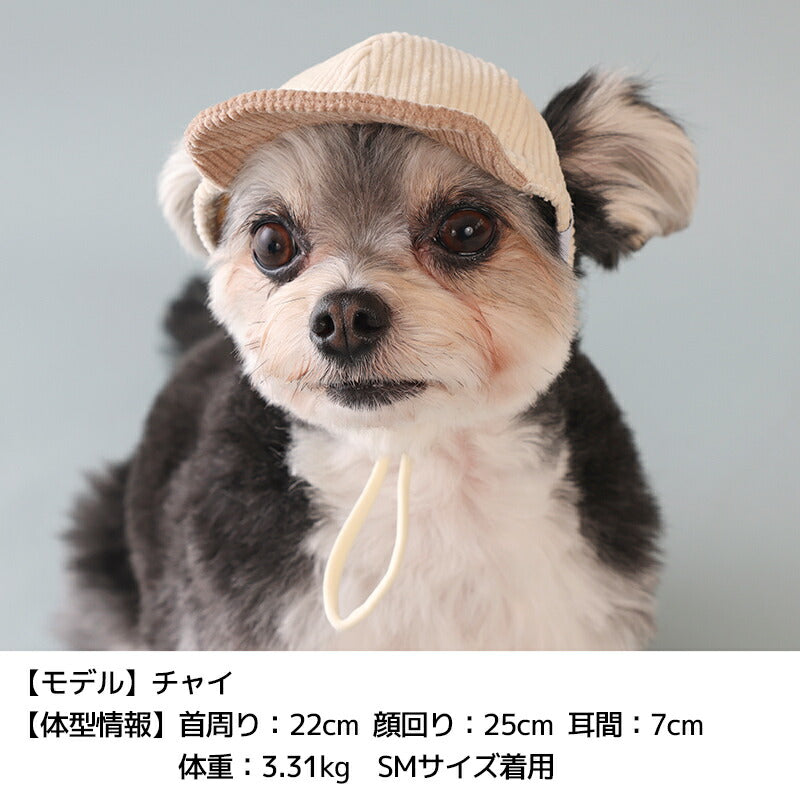 コーデユロイキャップ S/SM/M/L/XL Solgra-ソルグラ- 犬用 帽子 SO25AW so252585