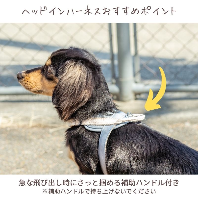【公式通販限定】レースヘッドインハーネス S/M/L Solgra-ソルグラ- 犬用 犬 ハーネス 抜けにくい 抜けない 脱げない 脱げにくい 足を通さず 簡単装着 やさしい 柔らかい おしゃれ かわいい 負担が少ない 超小型犬 小型犬 SO25SS so259594