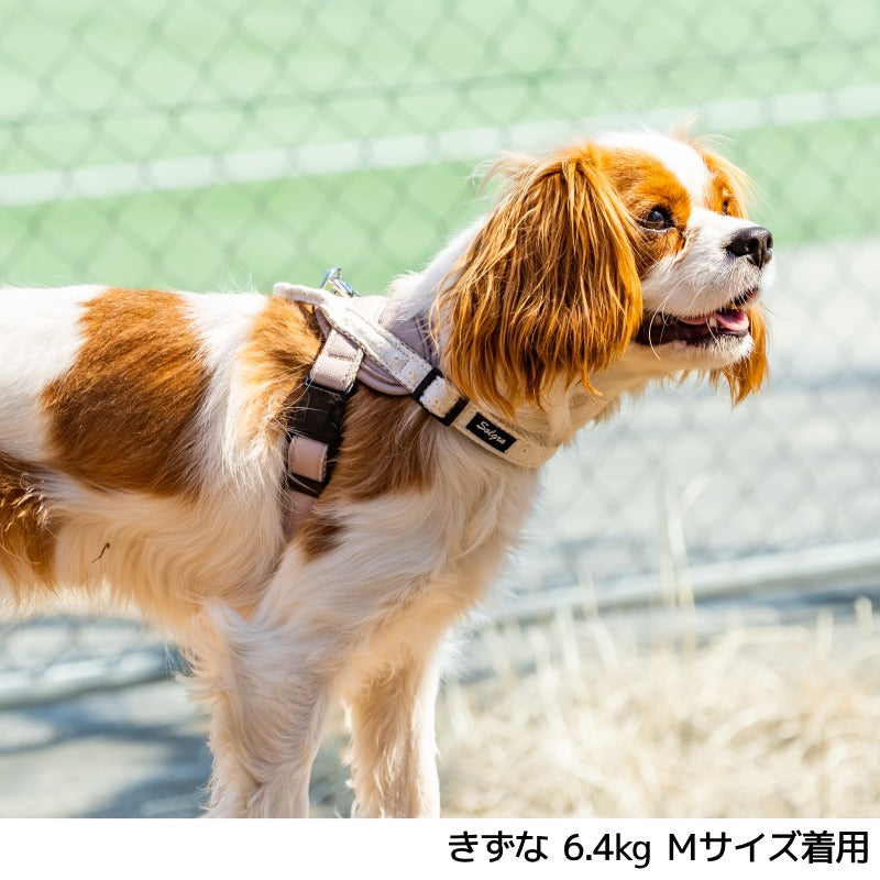 【公式通販限定】レースヘッドインハーネス S/M/L Solgra-ソルグラ- 犬用 犬 ハーネス 抜けにくい 抜けない 脱げない 脱げにくい 足を通さず 簡単装着 やさしい 柔らかい おしゃれ かわいい 負担が少ない 超小型犬 小型犬 SO25SS so259594