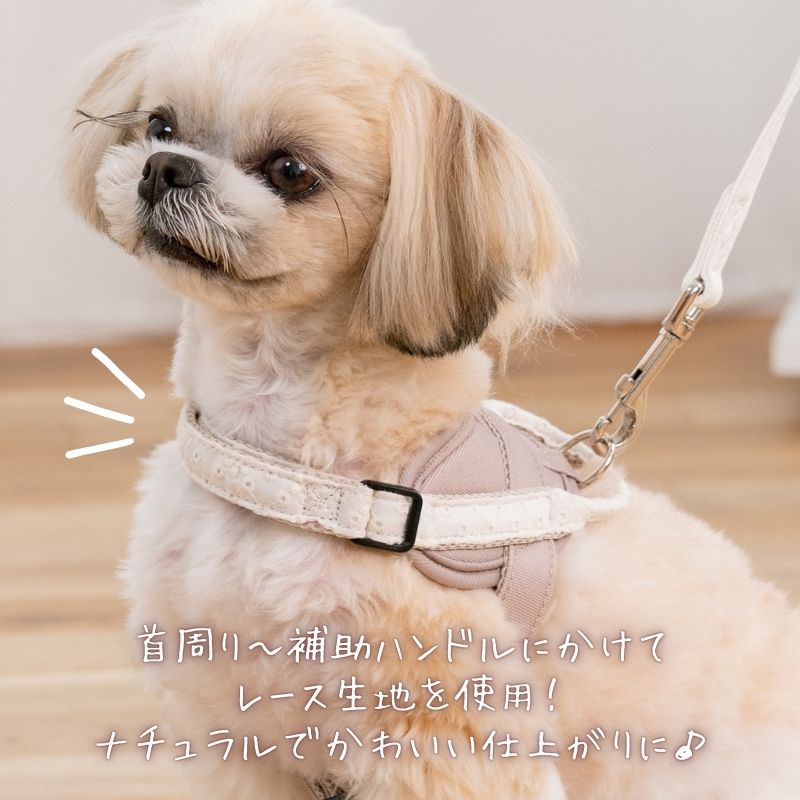 【公式通販限定】レースヘッドインハーネス S/M/L Solgra-ソルグラ- 犬用 犬 ハーネス 抜けにくい 抜けない 脱げない 脱げにくい 足を通さず 簡単装着 やさしい 柔らかい おしゃれ かわいい 負担が少ない 超小型犬 小型犬 SO25SS so259594