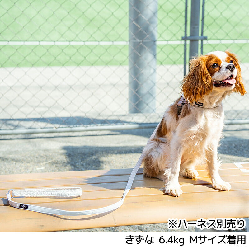 【公式通販限定】レースソフティリード S/M Solgra-ソルグラ- 犬用 小型犬用 リード 犬 迷子防止 脱走防止 おしゃれ 超小型犬 小型犬 中型犬 トイプードル チワワ ダックスフンド フレンチブルドッグ 柴犬 マルチーズ お散歩 お出かけ SO25SS so259597
