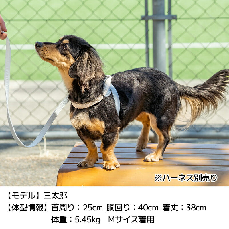 【公式通販限定】レースソフティリード S/M Solgra-ソルグラ- 犬用 小型犬用 リード 犬 迷子防止 脱走防止 おしゃれ 超小型犬 小型犬 中型犬 トイプードル チワワ ダックスフンド フレンチブルドッグ 柴犬 マルチーズ お散歩 お出かけ SO25SS so259597
