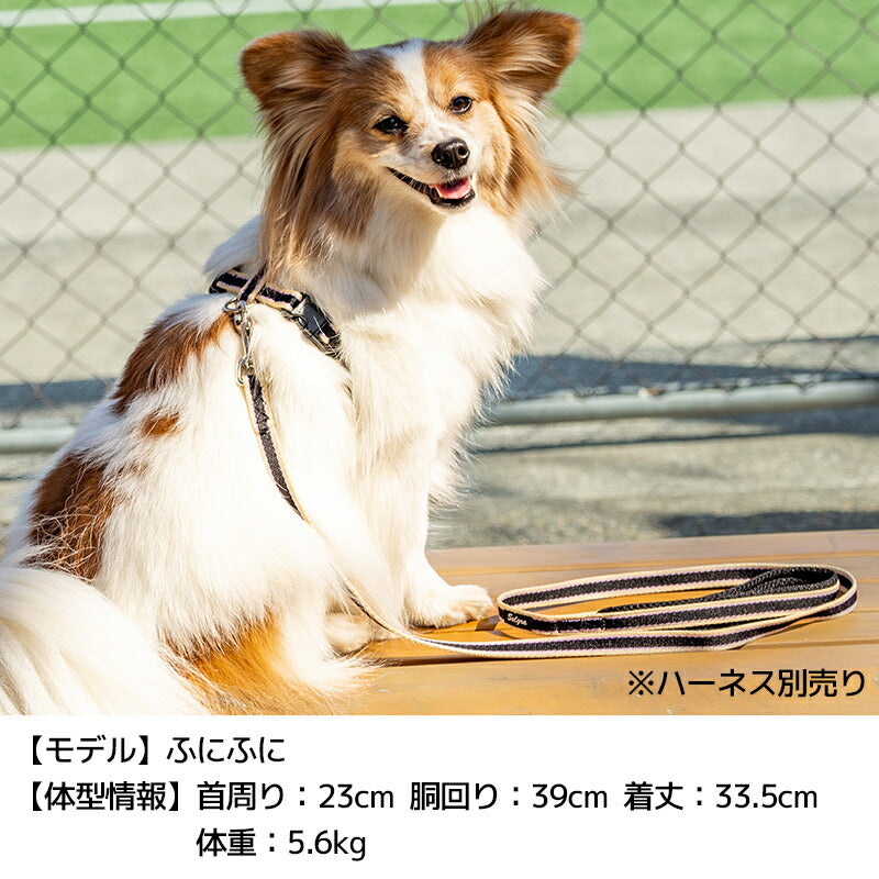 【公式通販限定】ラインソフティリード Free Solgra-ソルグラ- 犬用 SO25SS so259598