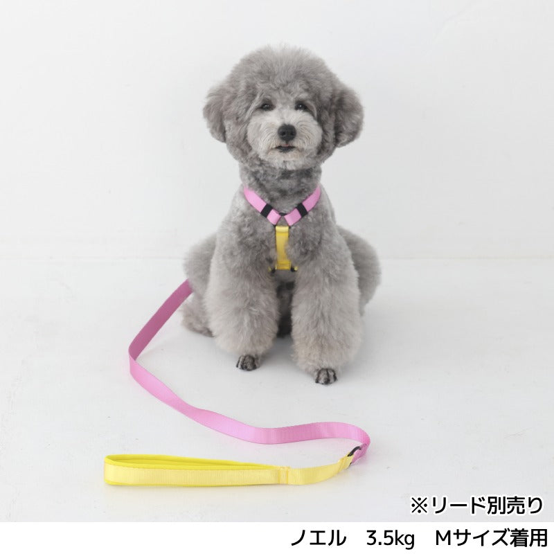 ビビットバイカラーハーネス S/M/L Solgra-ソルグラ- 犬用ハーネス SO25SS so259599