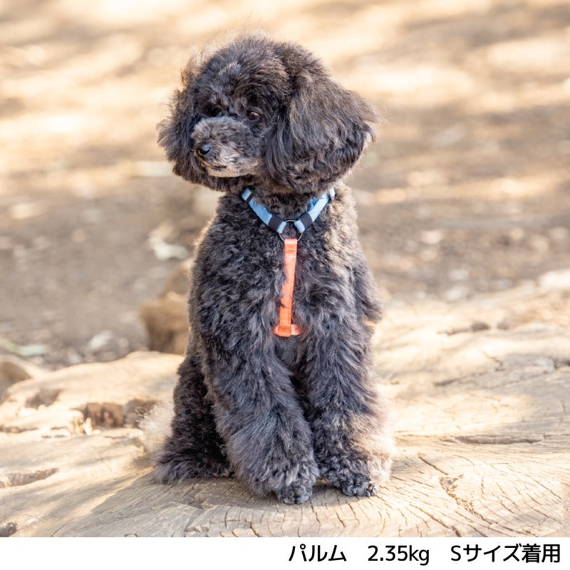 ビビットバイカラーハーネス S/M/L Solgra-ソルグラ- 犬用ハーネス SO25SS so259599