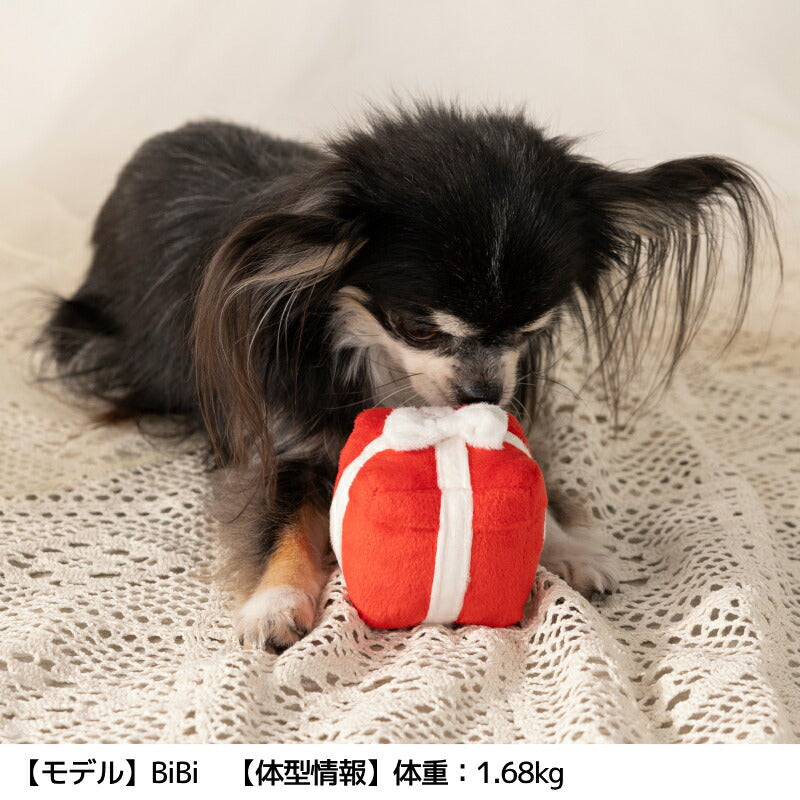 プレゼントおもちゃ F SOLGRA -ソルグラ- 犬用 パーティー SO25SS so255610