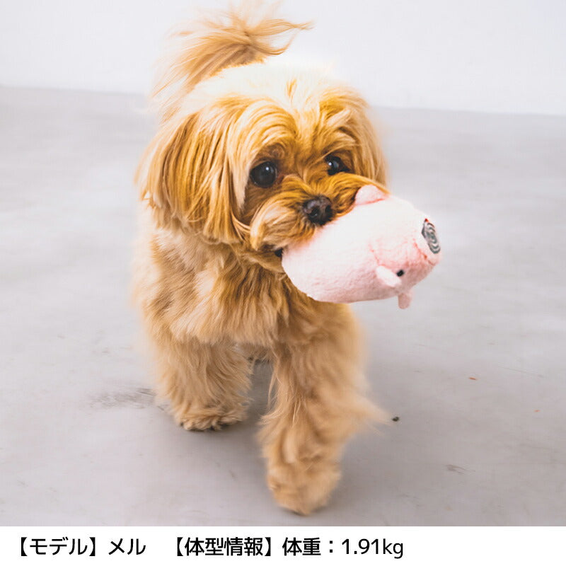 【公式通販限定】ブタさん蚊取り線香おもちゃ F SOLGRA -ソルグラ- 犬用 SO25SS so255619