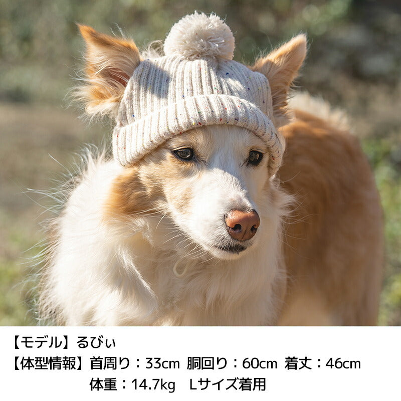 ネップニット帽 S/SM/M/L/XL Solgra-ソルグラ- 犬用 帽子 SO25AW so252620