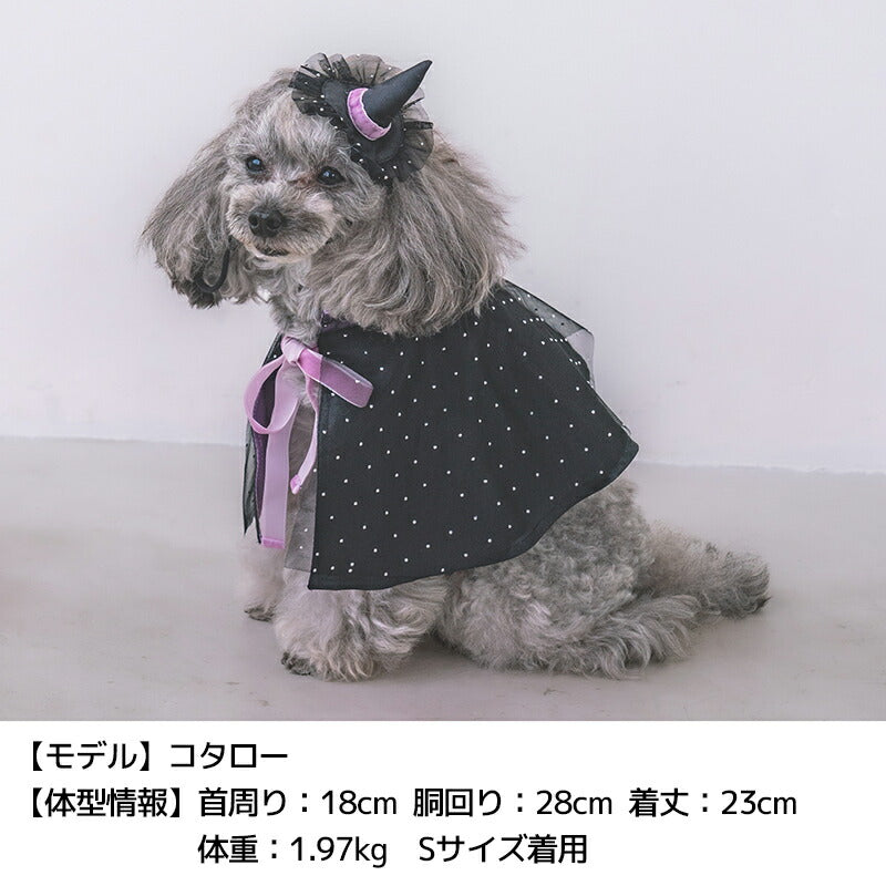 【公式通販限定】帽子付き魔女マント S/M/L SOLGRA -ソルグラ- 犬用 コスプレ ハロウィン SO25AW so252632