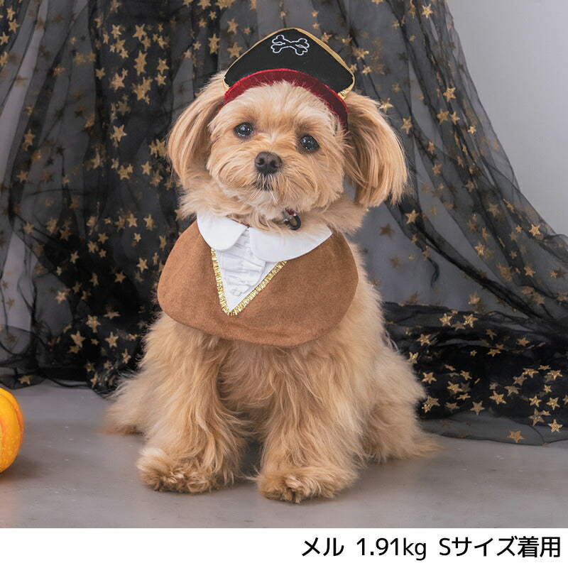 【公式通販限定】なりきり海賊マント S/M/L SOLGRA -ソルグラ- 犬用 コスプレ ハロウィン SO25AW so252633