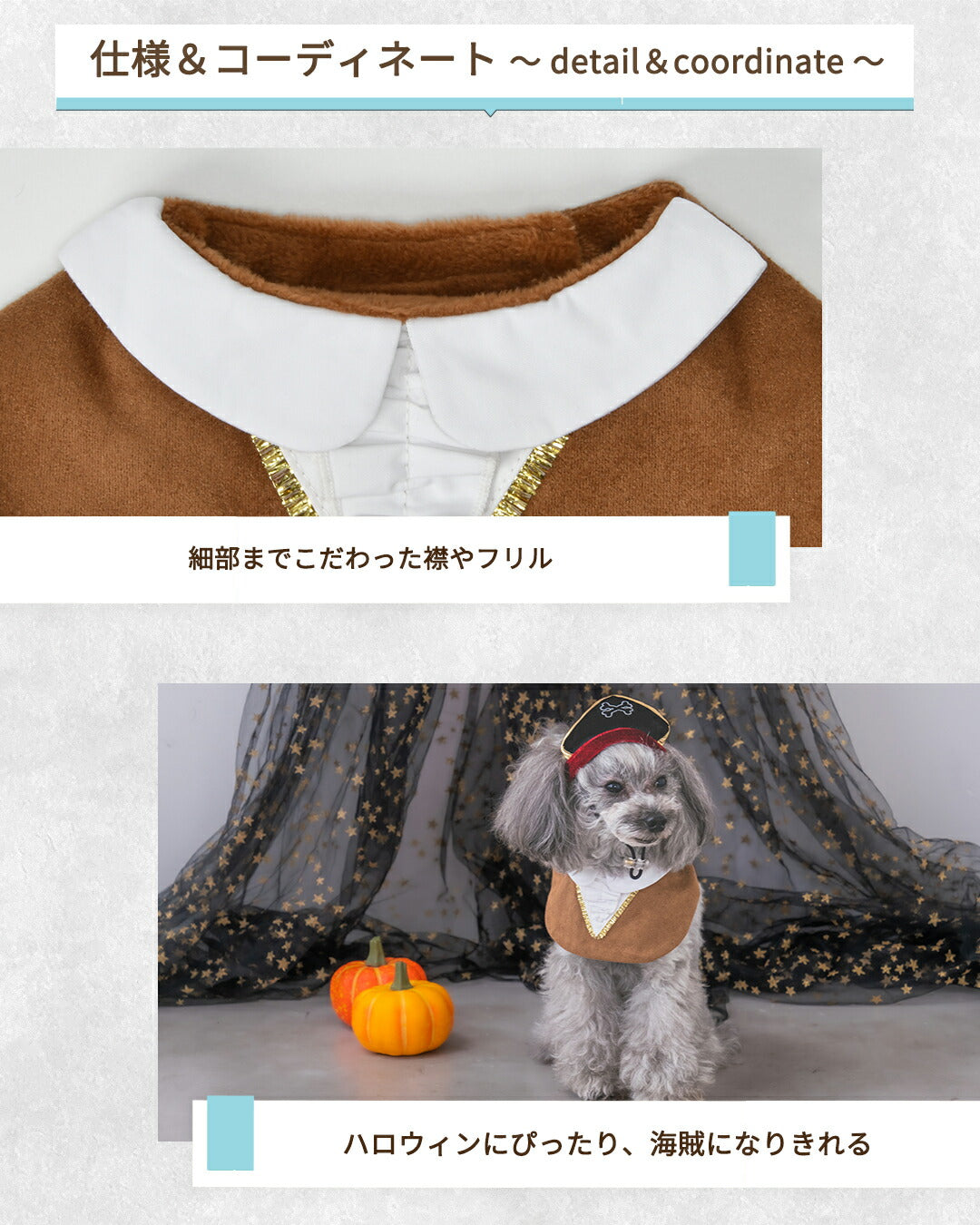 【公式通販限定】なりきり海賊マント S/M/L SOLGRA -ソルグラ- 犬用 コスプレ ハロウィン SO25AW so252633