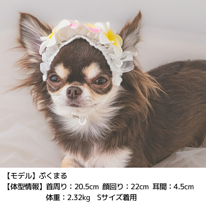 【公式通販限定】プルメリアヘアバンド S/M/L SOLGRA -ソルグラ- 犬用 アクセサリー SO25SS so252638