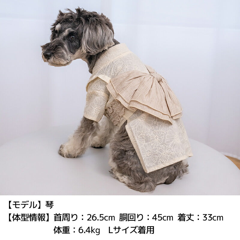 レース浴衣 S/M/L/XL/XXL Solgra-ソルグラ- 犬服 ドッグウェア SO26SS so261683