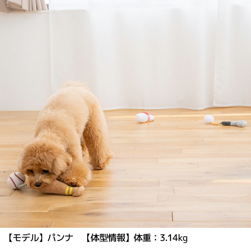 スポーツおもちゃ Free Solgra-ソルグラ- 犬用 SO26SS so265701