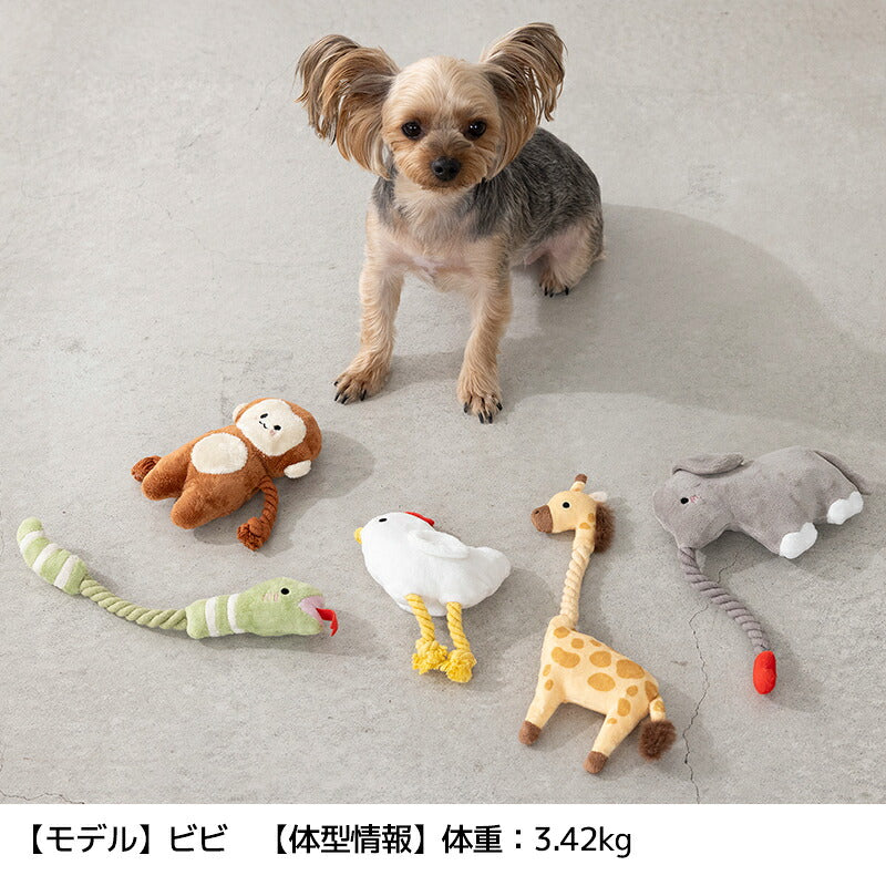 アニマルロープトイ Free Solgra-ソルグラ- 犬用 SO26AW so265721