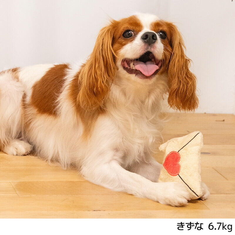【公式通販限定】ラブレターおもちゃ Free SOLGRA -ソルグラ- 犬用 バレンタイン SO25AW so265733