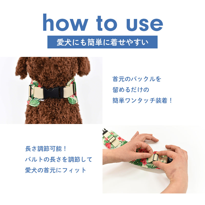 クールネック 保冷剤セット S/M Solgra-ソルグラ- 犬用 SO24SS so242356-1