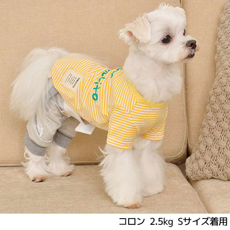 TTボーダーTシャツ XS/S/M/L/XL/XXL TINOTITO-ティノティート- 犬服 ドッグウェア トイプードル チワワ ポメラニアン tt151207-1