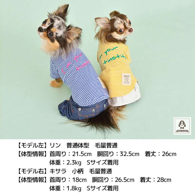 TTボーダーTシャツ XS/S/M/L/XL/XXL TINOTITO-ティノティート- 犬服 ドッグウェア トイプードル チワワ ポメラニアン tt151207-1