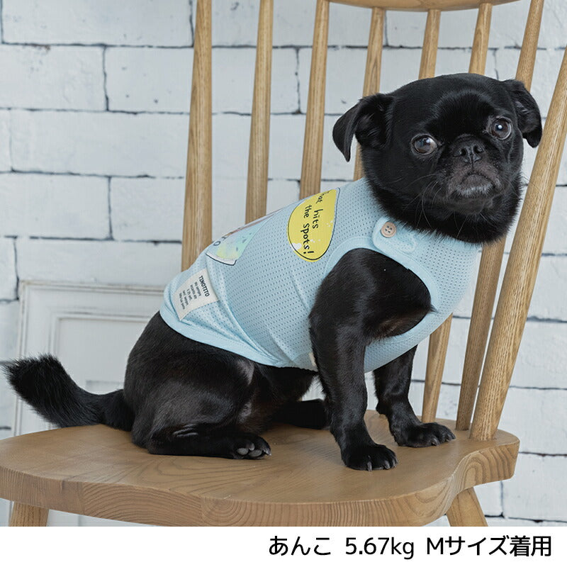 キラキラドリンクタンク XS/S/M/L/XL/XXL TINOTITO -ティノティート- 犬服 ドッグウェア トイプードル チワワ ポメラニアン TT22SS tt161247-1