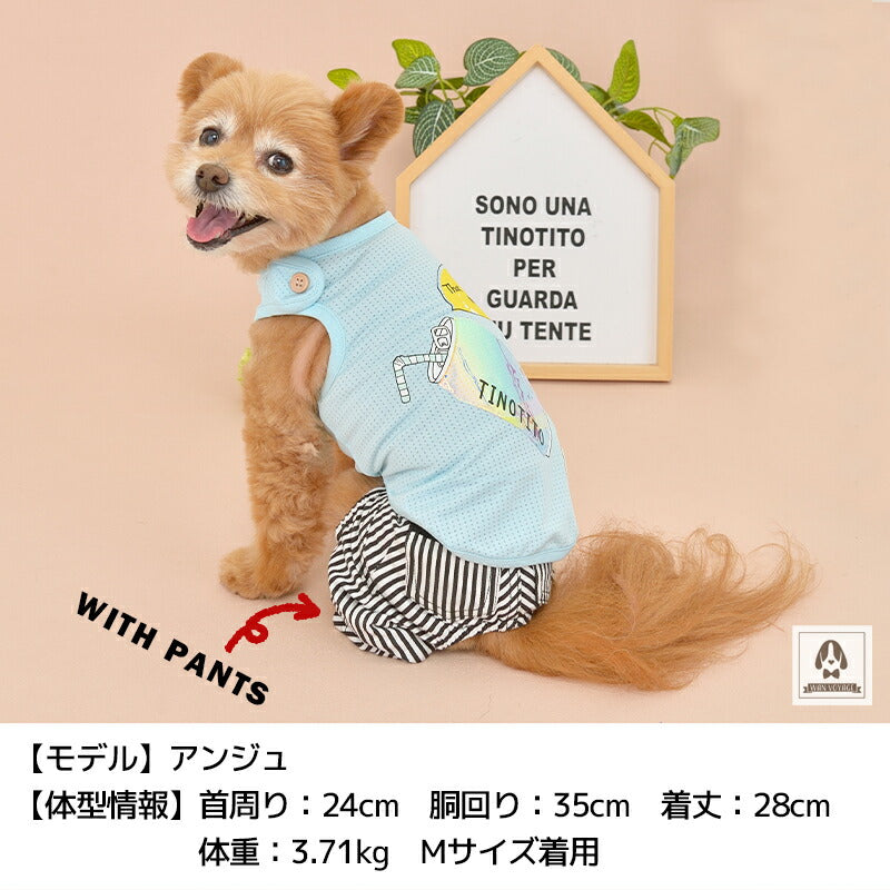 キラキラドリンクタンク XS/S/M/L/XL/XXL TINOTITO -ティノティート- 犬服 ドッグウェア トイプードル チワワ ポメラニアン TT22SS tt161247-1