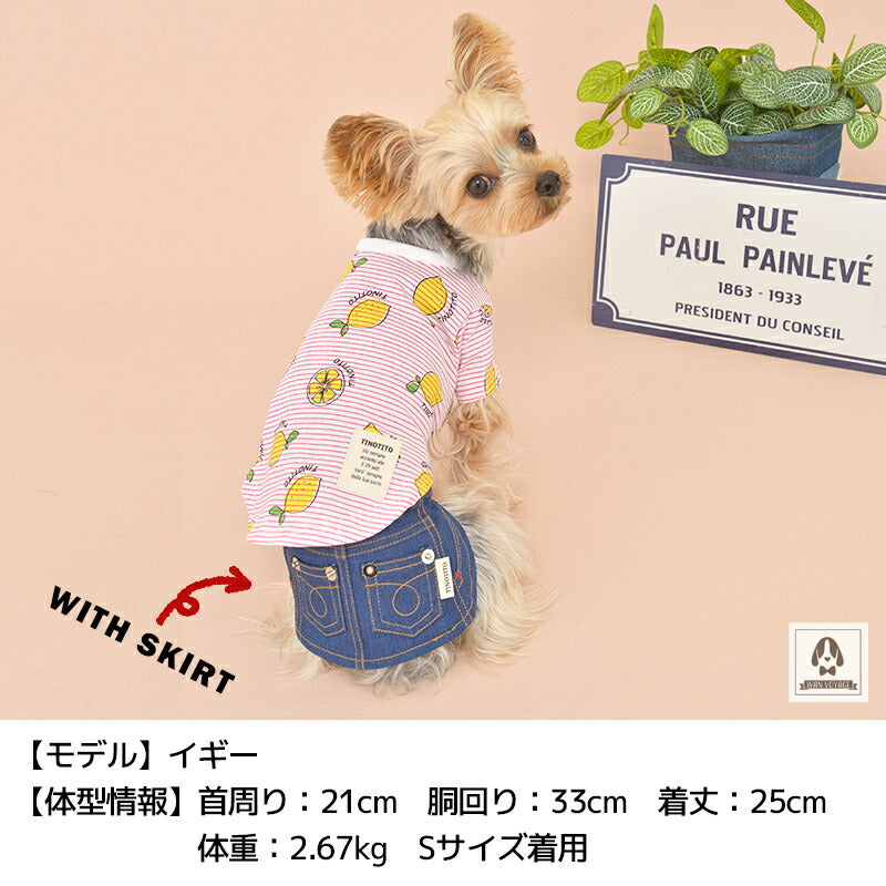 レモン柄Tシャツ XS/S/M/L/XL/XXL TINOTITO -ティノティート- 犬服 ドッグウェア トイプードル チワワ ポメラニアン TT22SS 名入れ対象 tt161250-1