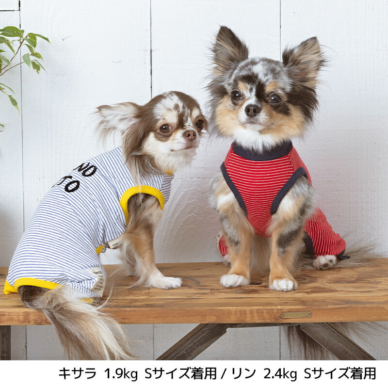 マルチボーダーつなぎ XS/S/M/L/XL/XXL TINOTITO -ティノティート- 犬服 ドッグウェア トイプードル チワワ ポメラニアン TT22SS tt163257-1