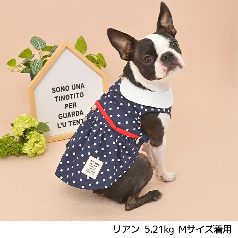 ドット丸衿ワンピ XS/S/M/L/XL/XXL TINOTITO -ティノティート- 犬服 ドッグウェア トイプードル チワワ ポメラニアン TT22SS tt164258-1