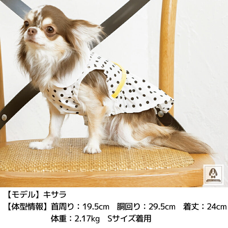 ドット丸衿ワンピ XS/S/M/L/XL/XXL TINOTITO -ティノティート- 犬服 ドッグウェア トイプードル チワワ ポメラニアン TT22SS tt164258-1