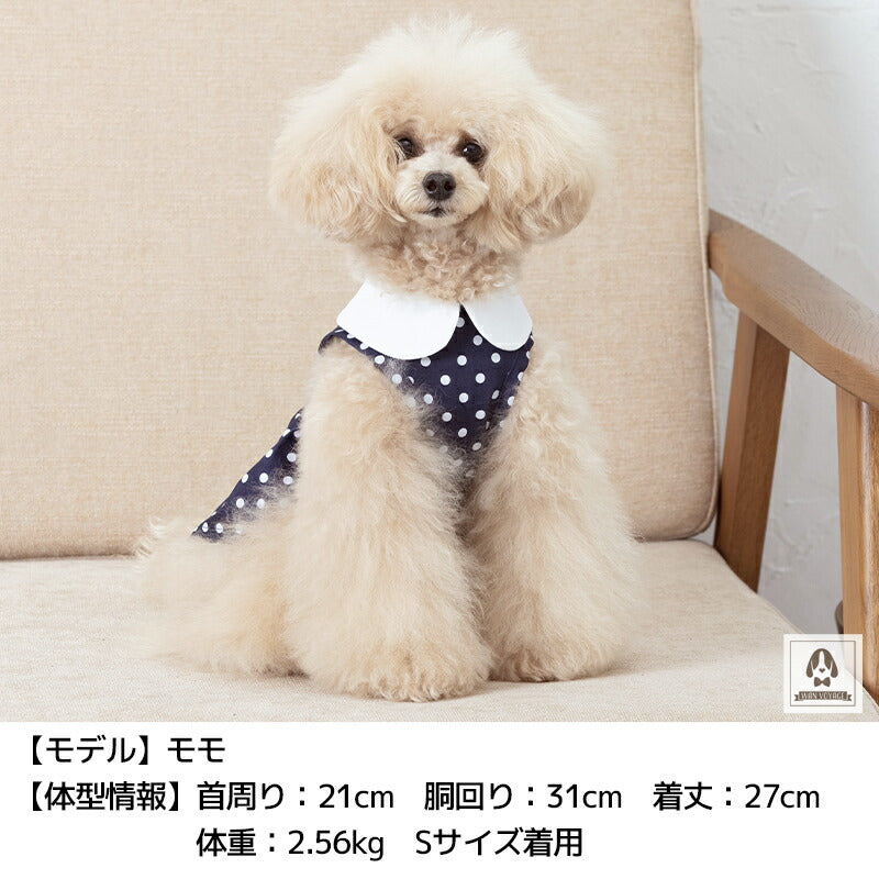 ドット丸衿ワンピ XS/S/M/L/XL/XXL TINOTITO -ティノティート- 犬服 ドッグウェア トイプードル チワワ ポメラニアン TT22SS tt164258-1