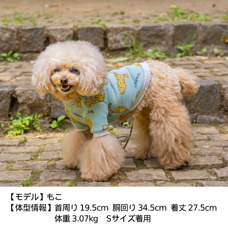 チーター柄トレーナー XS/S/M/L/XL/XXL TINOTITO -ティノティート- 犬服 ドッグウェア トイプードル チワワ ポメラニアン TT22AW tt162274-1