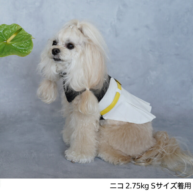 ハイウエスト風ワンピ XS/S/M/L/XL/XXL TINOTITO -ティノティート- 犬服 ドッグウェア トイプードル チワワ ポメラニアン TT22AW tt164281-1