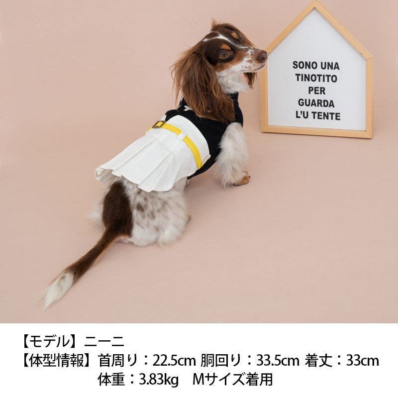 ハイウエスト風ワンピ XS/S/M/L/XL/XXL TINOTITO -ティノティート- 犬服 ドッグウェア トイプードル チワワ ポメラニアン TT22AW tt164281-1
