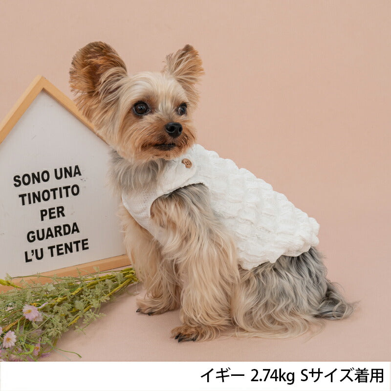 ポコポコタンク XS/S/M/L/XL/XXL TINOTITO -ティノティート- 犬服 ドッグウェア トイプードル チワワ ポメラニアン TT23SS tt231290-1