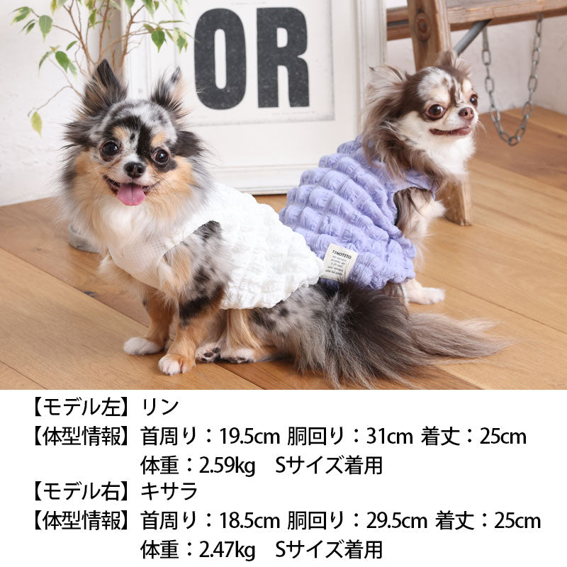 ポコポコタンク XS/S/M/L/XL/XXL TINOTITO -ティノティート- 犬服 ドッグウェア トイプードル チワワ ポメラニアン TT23SS tt231290-1