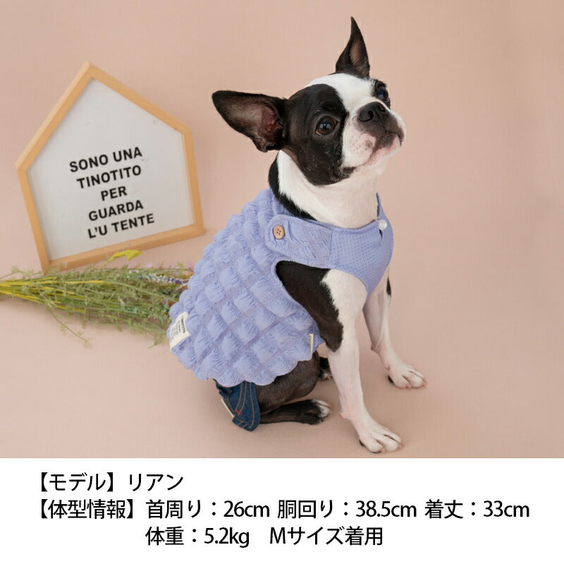 ポコポコタンク XS/S/M/L/XL/XXL TINOTITO -ティノティート- 犬服 ドッグウェア トイプードル チワワ ポメラニアン TT23SS tt231290-1