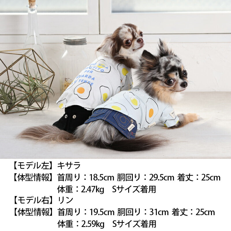 目玉焼きTシャツ XS/S/M/L/XL/XXL TINOTITO -ティノティート- 犬服 ドッグウェア トイプードル チワワ ポメラニアン TT23SS tt231295-1