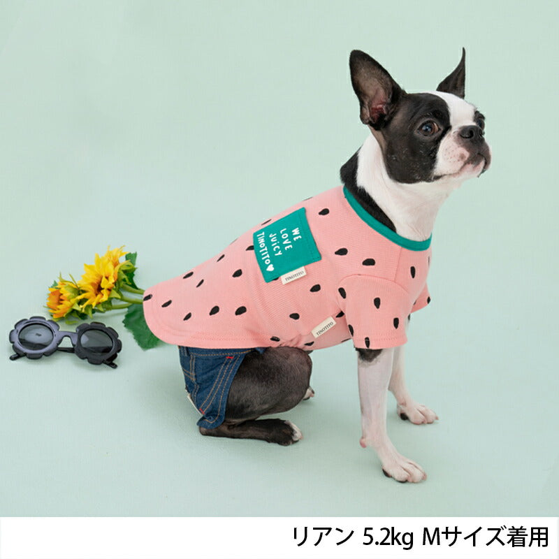 フルーツTシャツ XS/S/M/L/XL/XXL TINOTITO -ティノティート- 犬服 ドッグウェア トイプードル チワワ ポメラニアン TT23SS tt231297-1