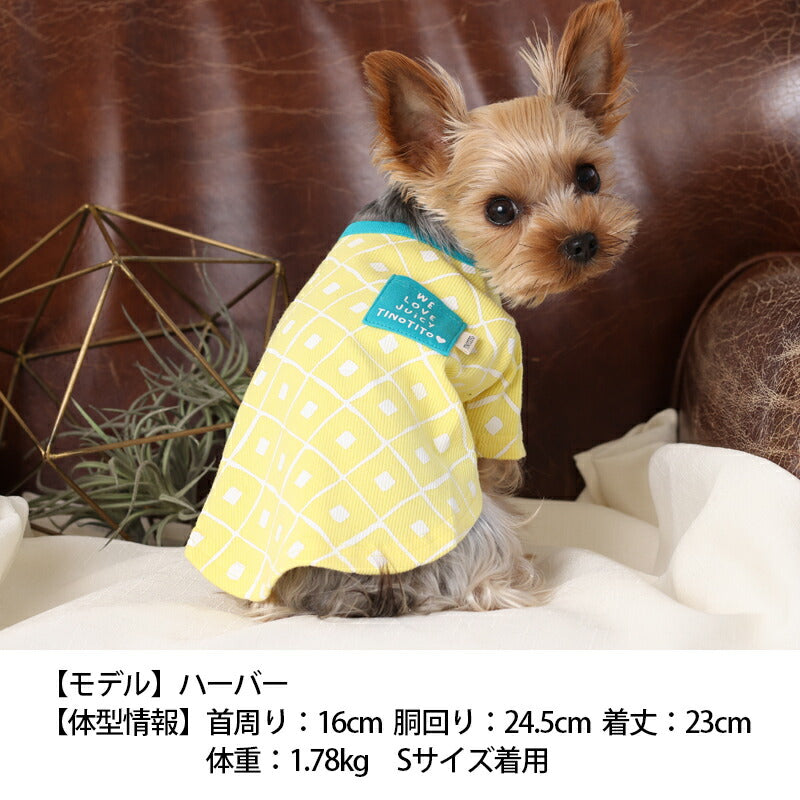 フルーツTシャツ XS/S/M/L/XL/XXL TINOTITO -ティノティート- 犬服 ドッグウェア トイプードル チワワ ポメラニアン TT23SS tt231297-1
