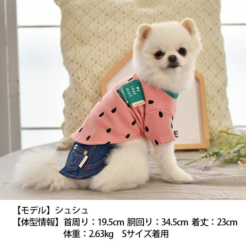 フルーツTシャツ XS/S/M/L/XL/XXL TINOTITO -ティノティート- 犬服 ドッグウェア トイプードル チワワ ポメラニアン TT23SS tt231297-1