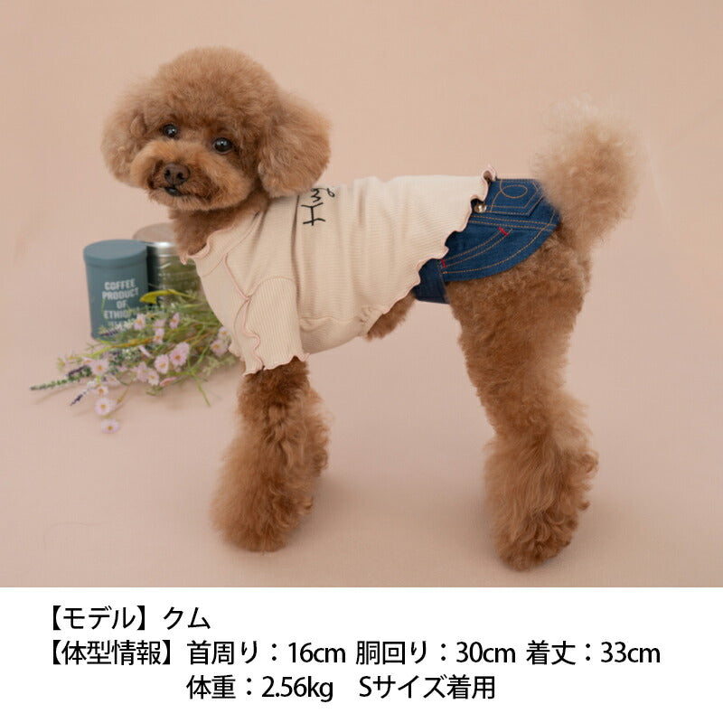 バイカラーメローTシャツ XS/S/M/L/XL/XXL TINOTITO -ティノティート- 犬服 ドッグウェア トイプードル チワワ ポメラニアン TT23SS tt231298-1