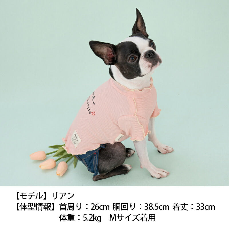 バイカラーメローTシャツ XS/S/M/L/XL/XXL TINOTITO -ティノティート- 犬服 ドッグウェア トイプードル チワワ ポメラニアン TT23SS tt231298-1