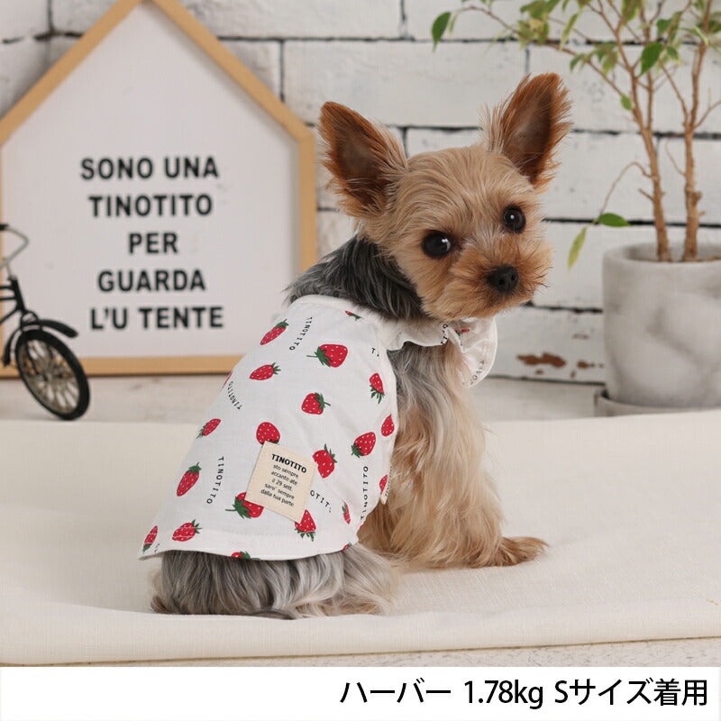 イチゴプリントキャミソール XS/S/M/L/XL/XXL TINOTITO -ティノティート- 犬服 ドッグウェア トイプードル チワワ ポメラニアン TT23SS tt231300-1