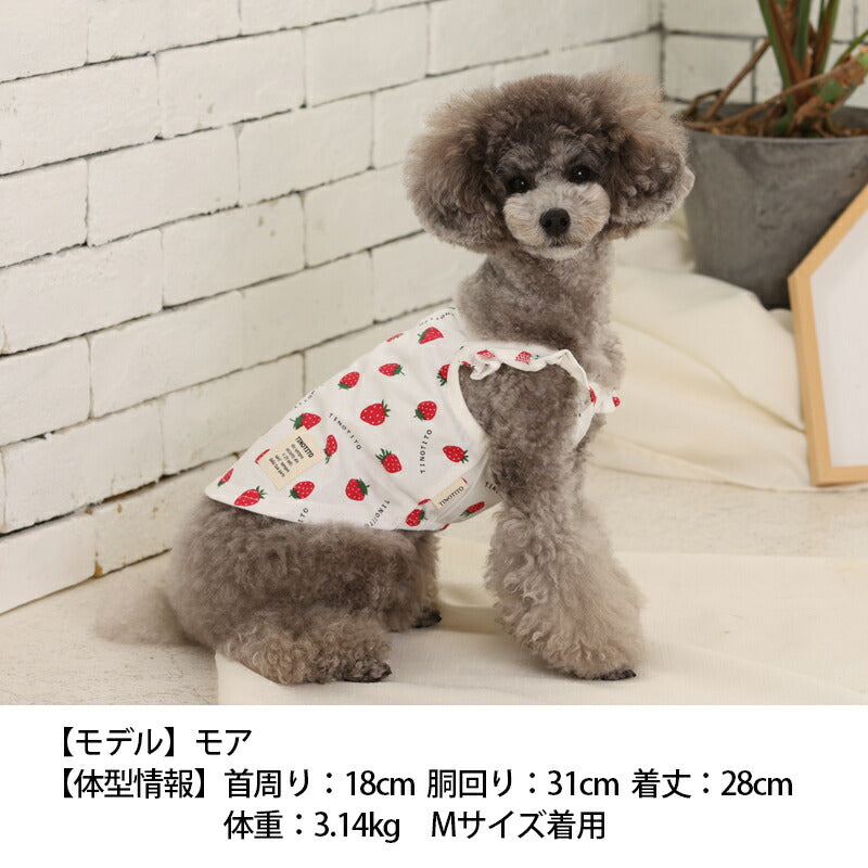 イチゴプリントキャミソール XS/S/M/L/XL/XXL TINOTITO -ティノティート- 犬服 ドッグウェア トイプードル チワワ ポメラニアン TT23SS tt231300-1