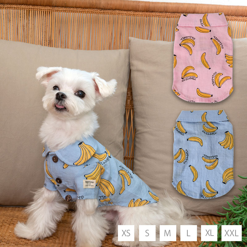 バナナプリントシャツ XS/S/M/L/XL/XXL TINOTITO -ティノティート- 犬服 ドッグウェア トイプードル チワワ ポメラニアン TT23SS tt231301-1