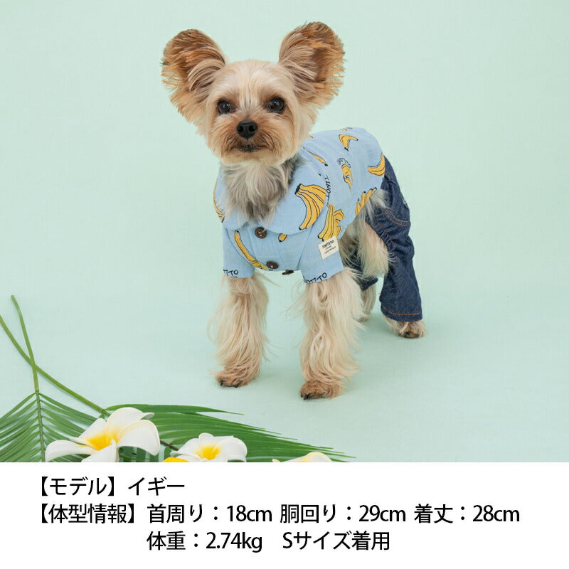 バナナプリントシャツ XS/S/M/L/XL/XXL TINOTITO -ティノティート- 犬服 ドッグウェア トイプードル チワワ ポメラニアン TT23SS tt231301-1