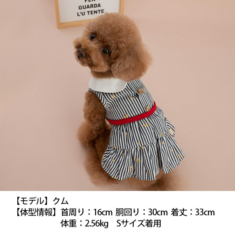 さくらんぼボーダーワンピ XS/S/M/L/XL/XXL TINOTITO -ティノティート- 犬服 ドッグウェア トイプードル チワワ ポメラニアン TT23SS tt231302-1