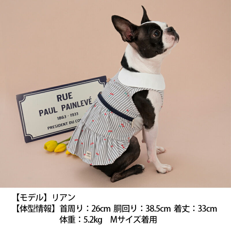 さくらんぼボーダーワンピ XS/S/M/L/XL/XXL TINOTITO -ティノティート- 犬服 ドッグウェア トイプードル チワワ ポメラニアン TT23SS tt231302-1