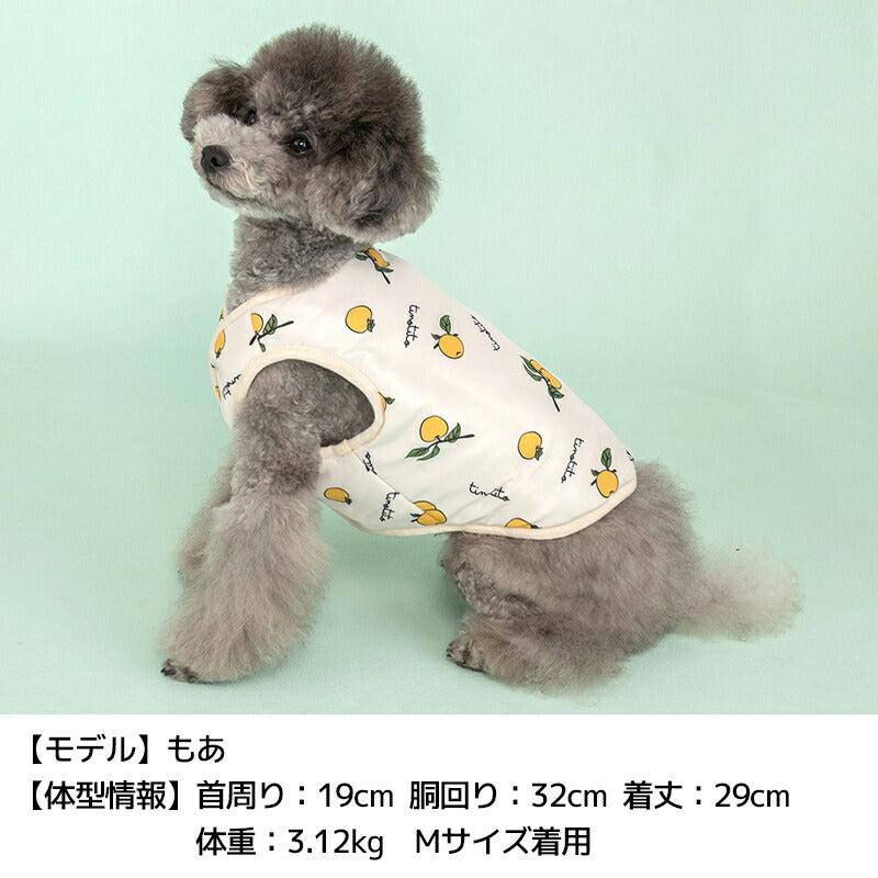 プリントリバーシブルベスト XS/S/M/L/XL/XXL TINOTITO -ティノティート- 犬服 ドッグウェア TT23AW tt231317-1