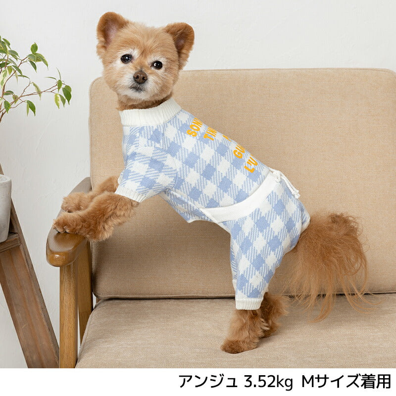 ギンガムニットつなぎ XS/S/M/L/XL/XXL TINOTITO -ティノティート- 犬服 ドッグウェア TT23AW tt231322-1